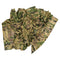 Multicam