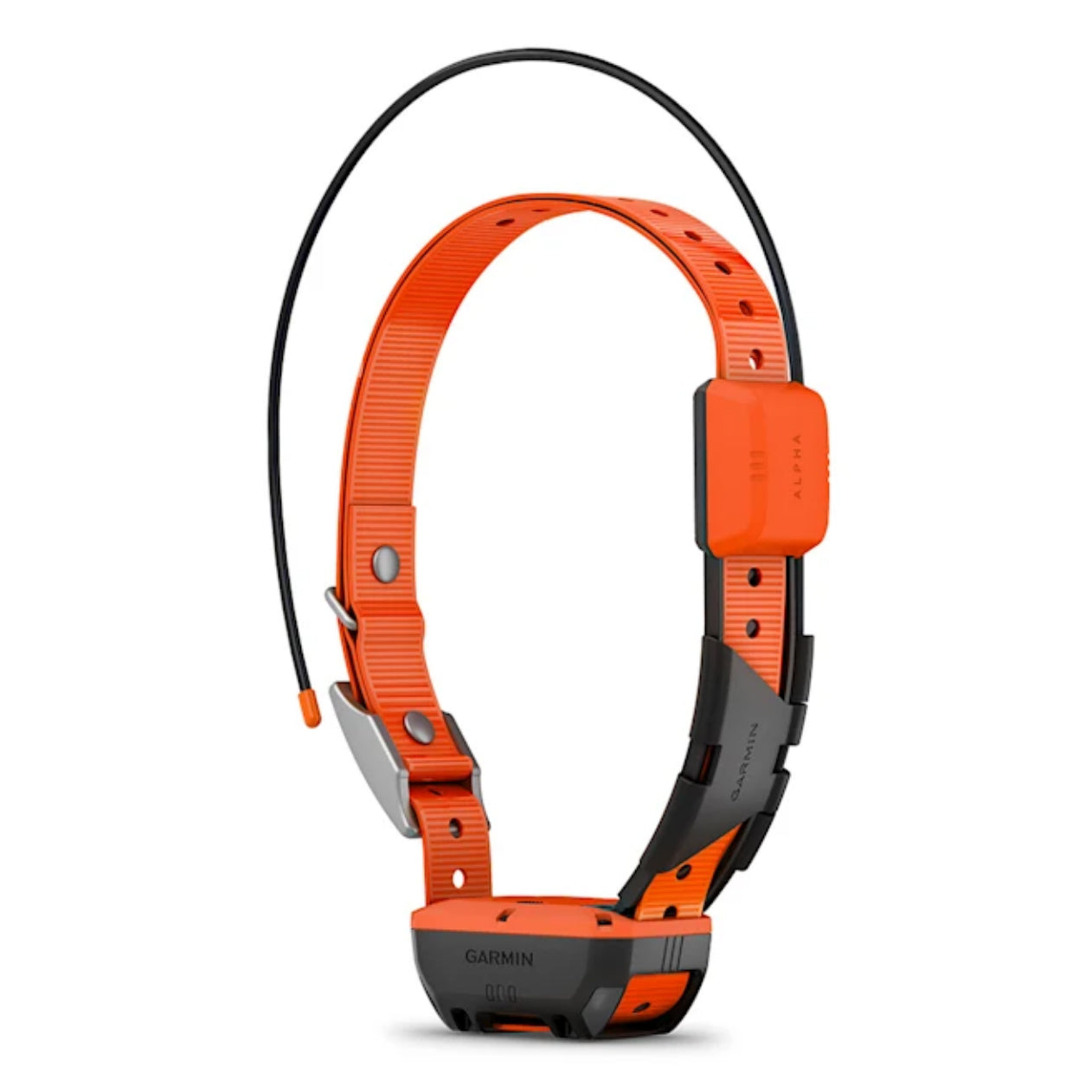 Alpha® T 20 K GPS-Hundehalsband