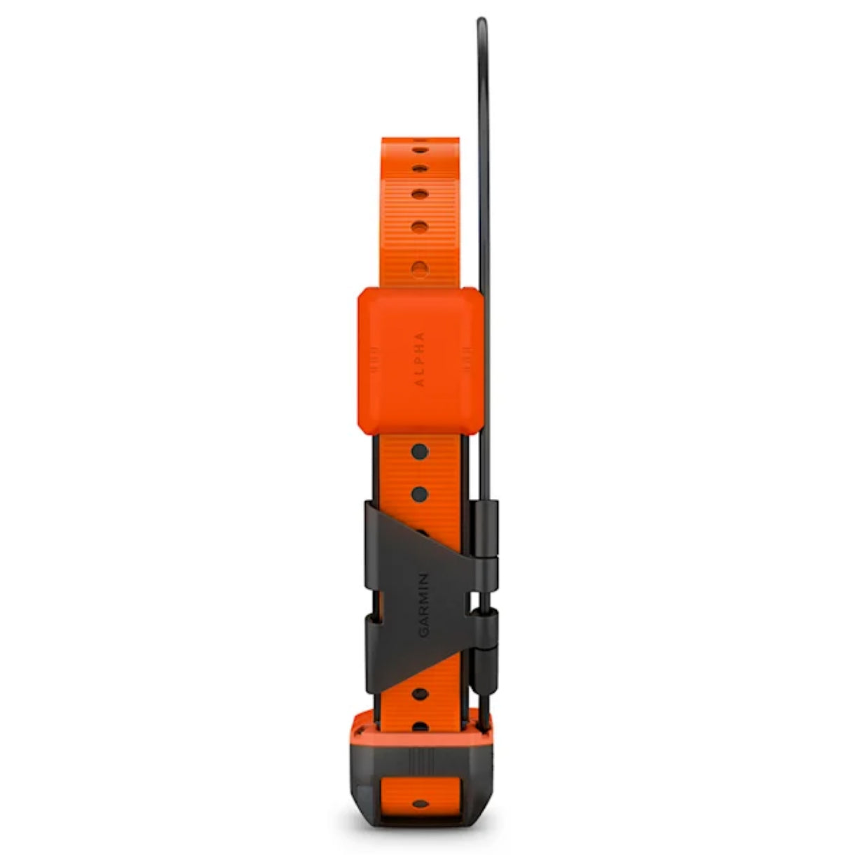 Alpha® T 20 K GPS-Hundehalsband