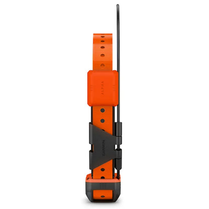 Alpha® T 20 K GPS-Hundehalsband