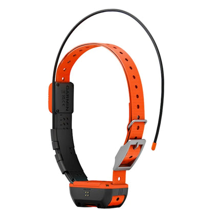 Alpha® T 20 K GPS-Hundehalsband