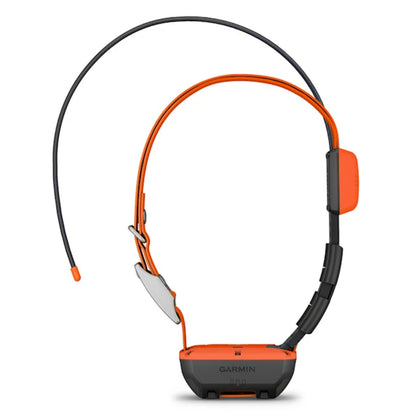 Alpha® T 20 K GPS-Hundehalsband