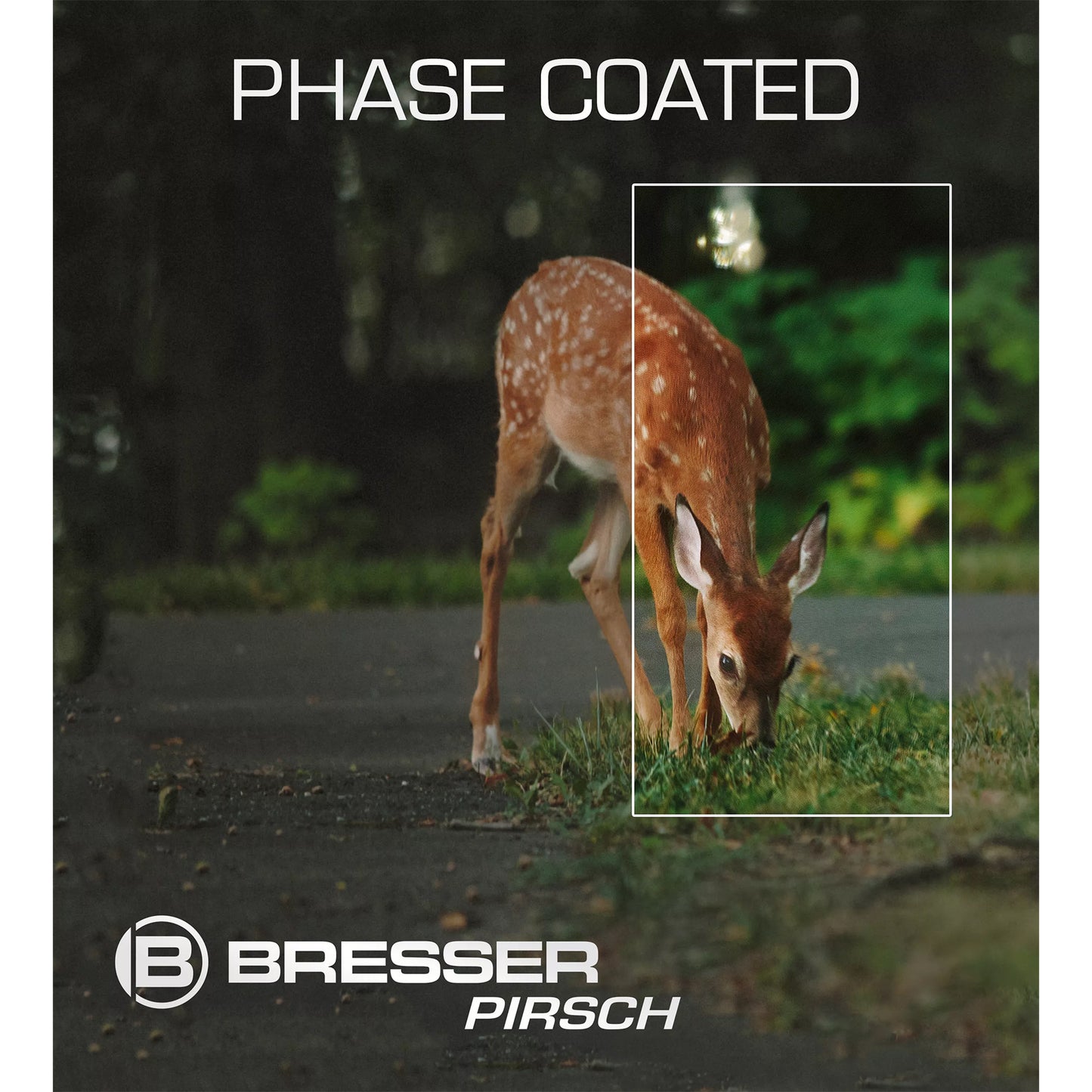 Feldstecher 8x42 Pirsch Phase Coating