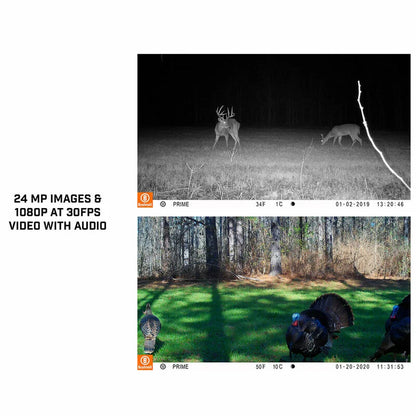 Digitale Wildkamera Trail Cam Prime 24MP, Low Glow, tan