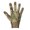 multicam